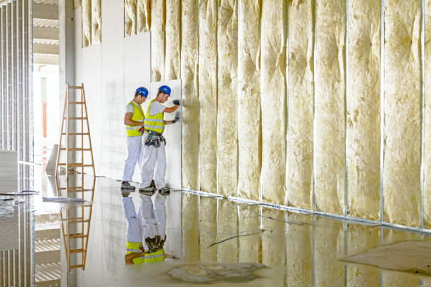 Best Soundproof Insulation  in Deerfield, WI